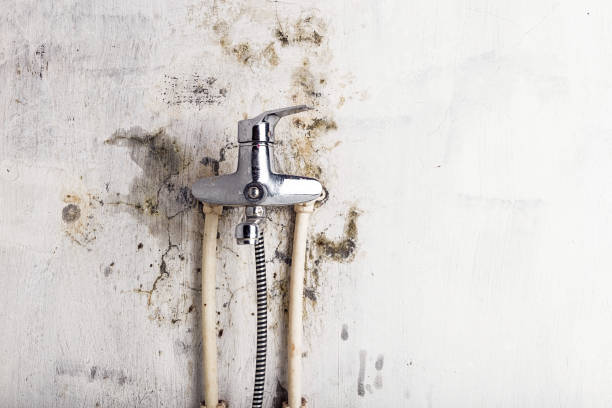 Best Affordable Mold Removal  in Aberdeen Proving Ground, MD