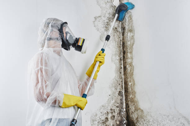 Crawl Space Mold Removal in Aberdeen Proving Ground, MD