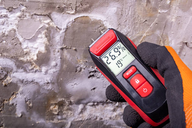 Best Mold Testing  in Aberdeen Proving Ground, MD