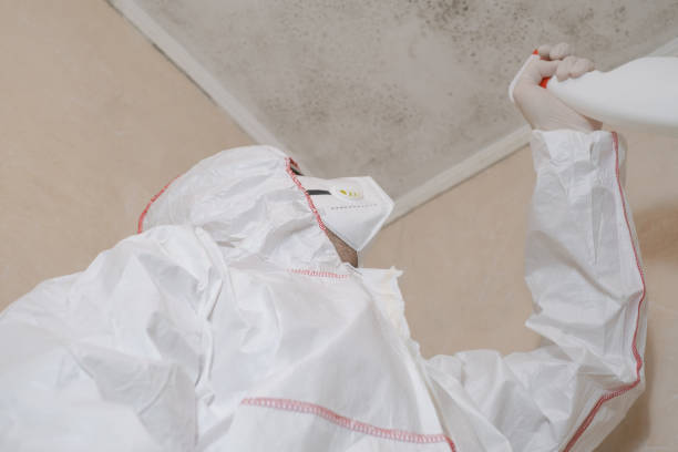 Best Residential Mold Removal  in Aberdeen Proving Ground, MD