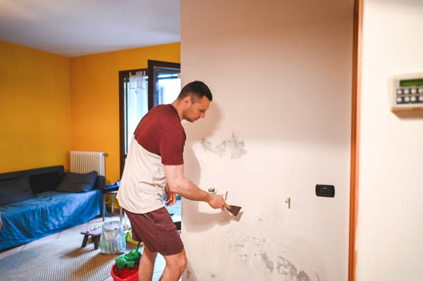 Best Emergency Mold Removal  in Aberdeen Proving Ground, MD