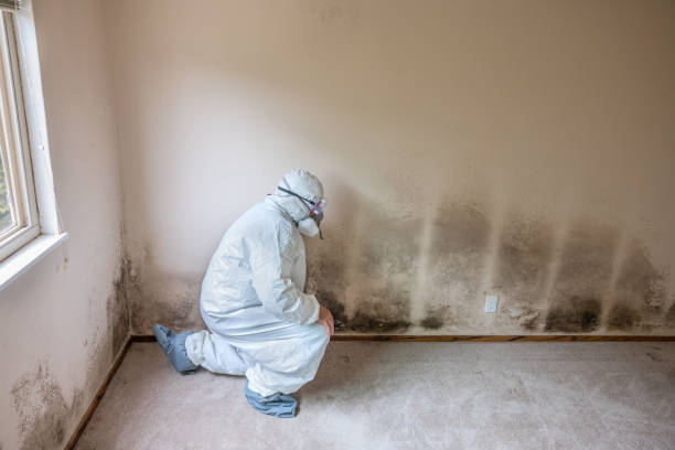 Best Crawl Space Mold Removal  in Aberdeen Proving Ground, MD