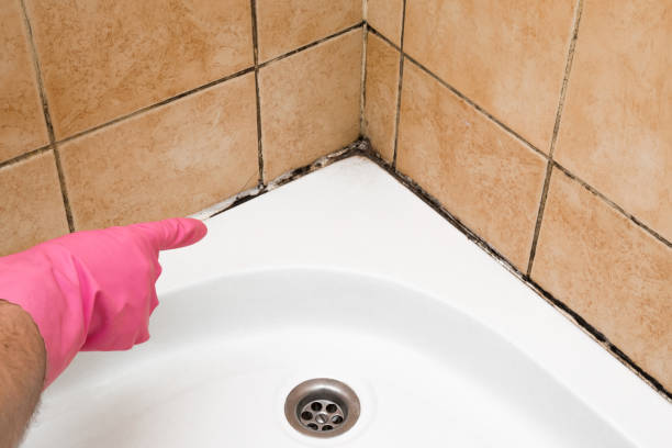 Aberdeen Proving Ground, MD Mold Removal Company